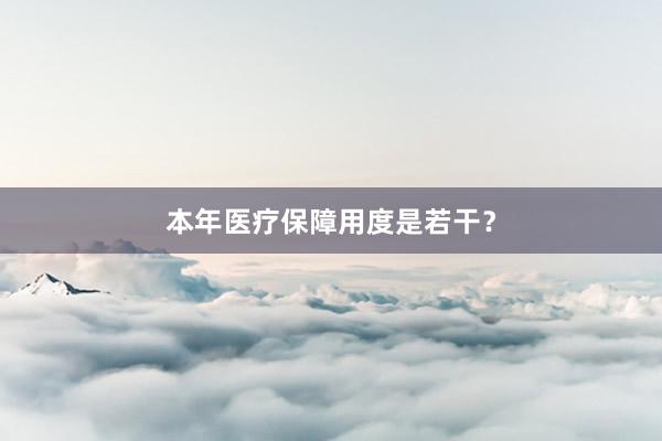 本年医疗保障用度是若干?